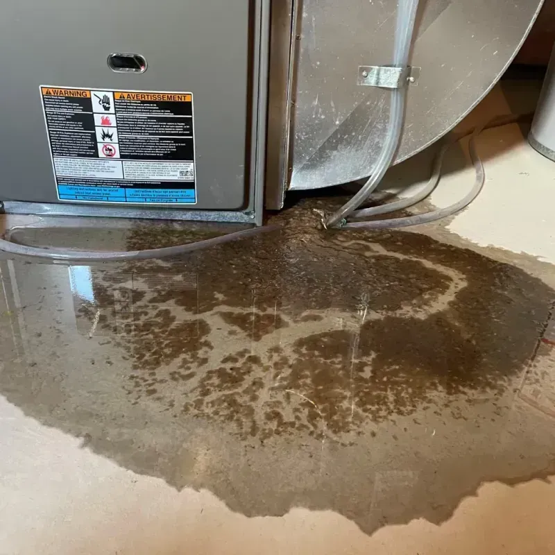 Appliance Leak Cleanup in Claiborne, LA